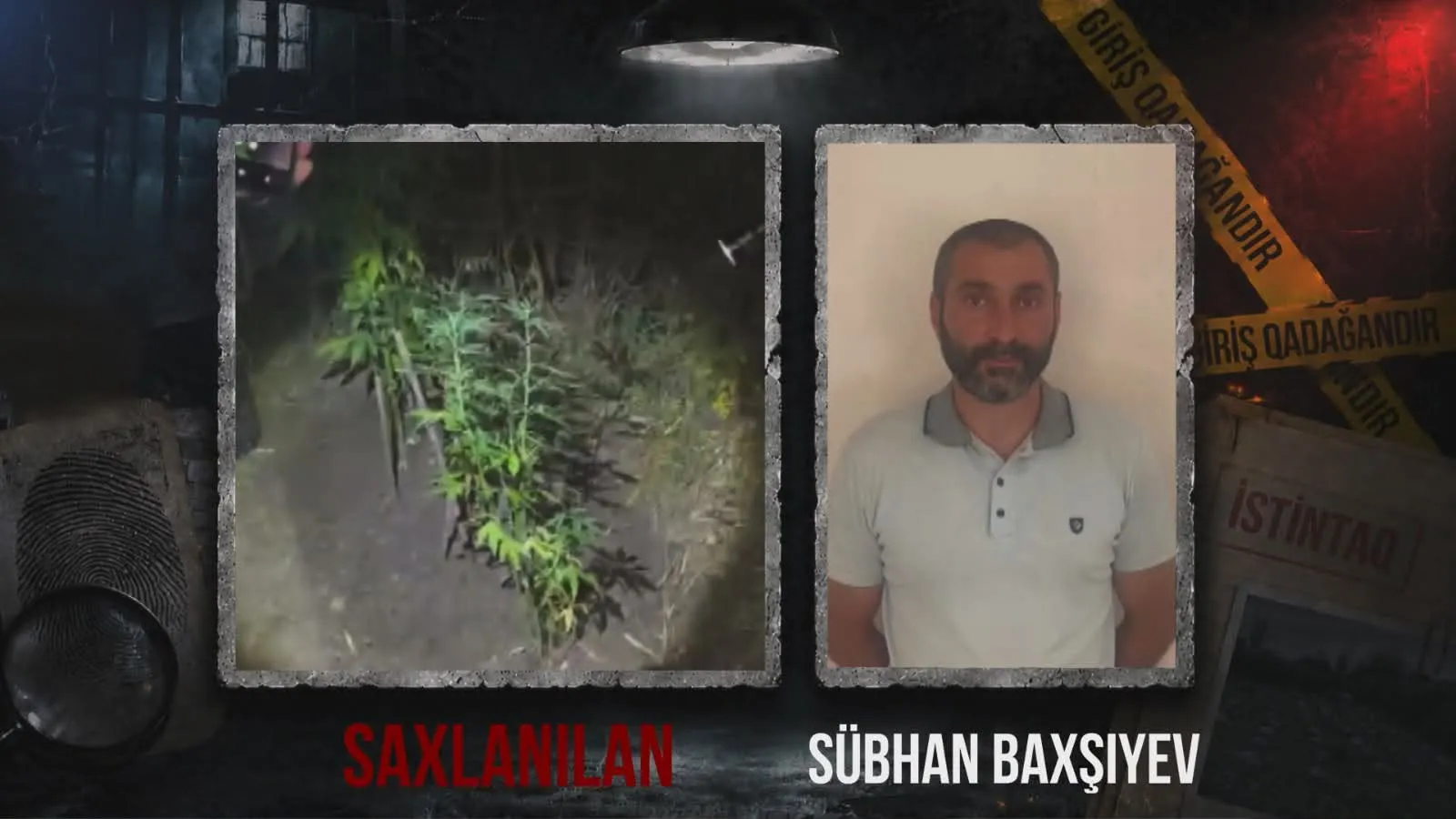 "Ağsuda dağlıq ərazidə gizli çətənə plantasiyası aşkarlandı"