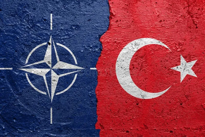 NATO-nun Türkiyədəki sammiti və Azərbaycanın pilotsuz sistemlərinin inkişafı